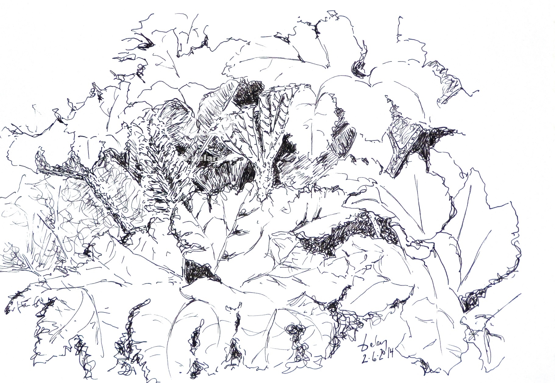 alternativ-text hier